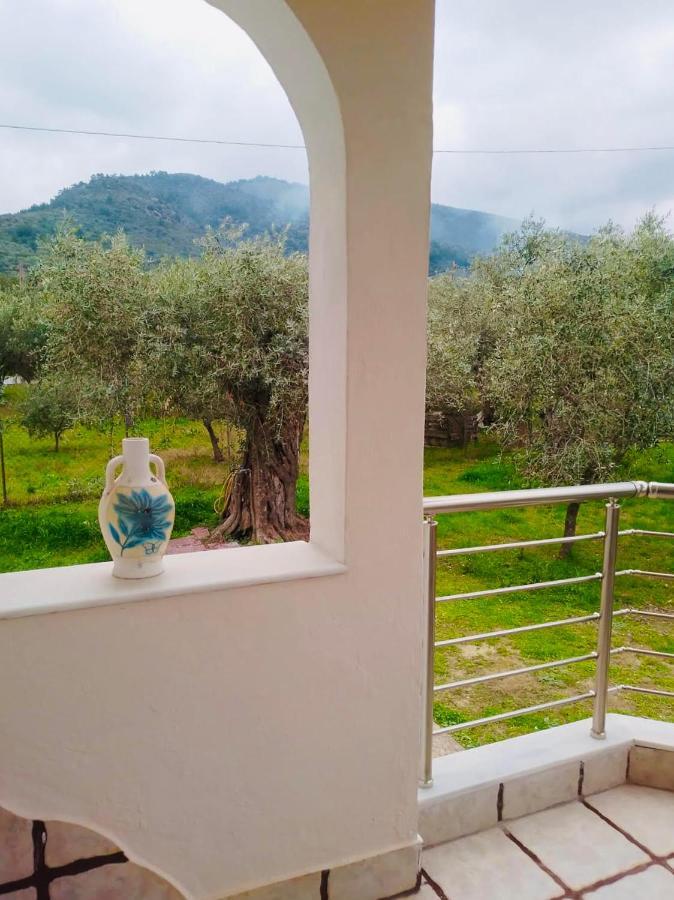 Villa Calypso Skala Rachoni  Zewnętrze zdjęcie