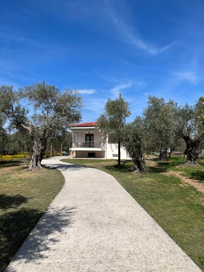 Villa Calypso Skala Rachoni  Zewnętrze zdjęcie
