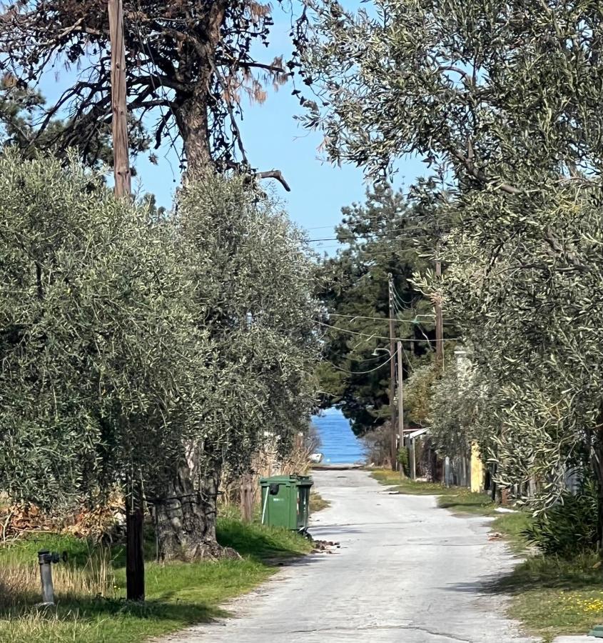Villa Calypso Skala Rachoni  Zewnętrze zdjęcie